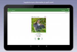 Learn Italian Vocabulary screenshot 2