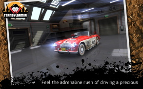 परम 3 डी क्लासिक कार रैली screenshot 1