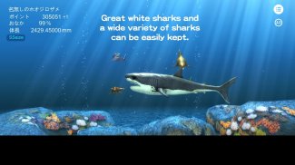 Great white shark breeding AR screenshot 3