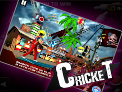 Cricket 3D screenshot 0