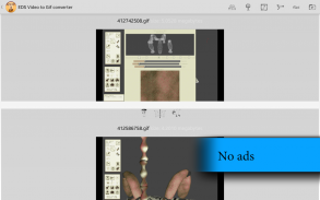 EDS Video To Gif Converter screenshot 2