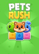 Pets Rush screenshot 4