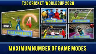 Cricket Championship Game 2024 screenshot 1