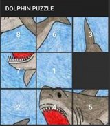 Dolphin Puzzle screenshot 0
