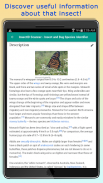 InsectID - Identify Insects screenshot 4