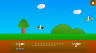 Duck Shoot! screenshot 3