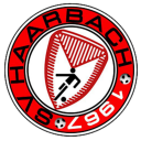 SV Haarbach Icon