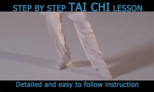 Tai Chi for Beginners 24 Form screenshot 12