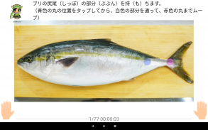 Fillet 3 pieces of yellowtail screenshot 4