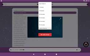 Quran Player with timer (no ads) screenshot 11