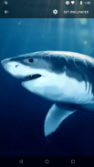 3D Shark Live Wallpaper screenshot 4