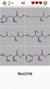 Amino Acids Structures - Quiz and Flashcards screenshot 4