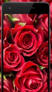 Flower Wallpapers: Rosely 2 screenshot 1