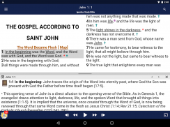 Catholic Study Bible App screenshot 9