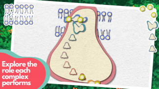 Powerhouse of the Cell screenshot 3