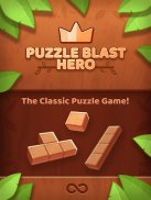 Puzzle Blast screenshot 14