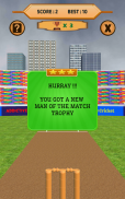 Bowled 3D - Cricket Game screenshot 11