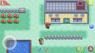 Pokemon: Outlaw screenshot 2