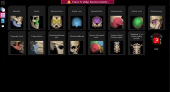 Anatomy Learning - 3D Anatomy screenshot 0