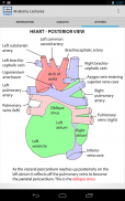 Anatomy Lectures screenshot 4