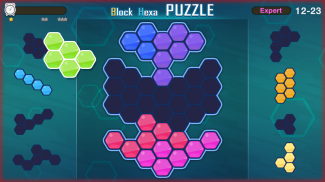 Block Hexa Puzzle screenshot 0