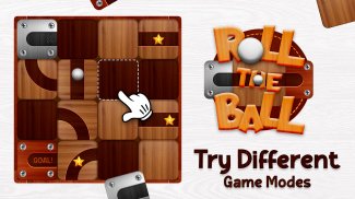 Slide the Ball- Unblock Puzzle screenshot 1