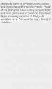 Description of Marigold Flower screenshot 6