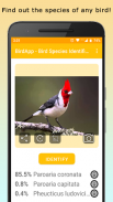 BirdsID - Identify Birds screenshot 5