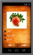 Bahasa Arab Kuiz screenshot 4