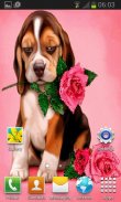 Puppy Rose Live Wallpaper screenshot 1