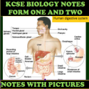 Form 1 And 2 Biology Notes icon