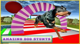 Real Dog Stunt & Jump Derby 3D screenshot 10