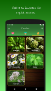 myRemedy: Medicinal plants screenshot 5