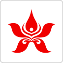 香港航空 Icon
