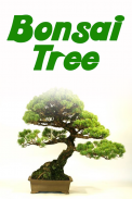 Bonsai Tree screenshot 0