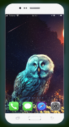 Owl Wallpaper HD screenshot 14