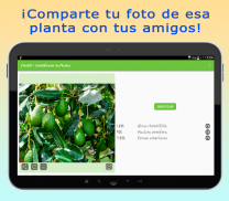 PlantID - Identifica Plantas screenshot 8