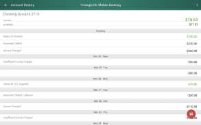 Triangle Credit Union screenshot 9