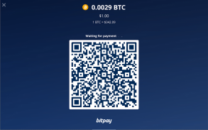 Bitcoin Checkout screenshot 8