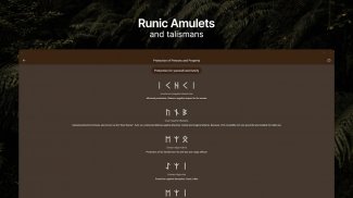 Runic Formulas screenshot 5