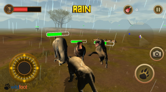 Lion Chase screenshot 4