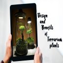 Design and Benefits of Terrarium plants