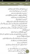 Meray Dard Ko Zuban Mily - Urdu Novel Offline screenshot 2