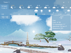 Точная погода YoWindow screenshot 10