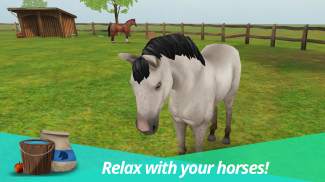 HorseWorld – My Riding Horse screenshot 7