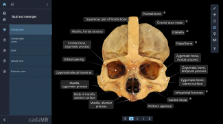 cadaVR anatomy screenshot 9