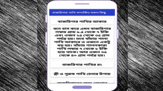 বাজরিকার পাখির সম্পর্কে সকল তথ্য ২০১৯ screenshot 2