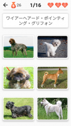 犬の品種 - 犬に関するクイズ！ screenshot 2
