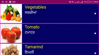 Learn English From Punjabi screenshot 1