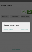 image search for google screenshot 3